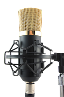 माइक ( Mic) माइक ( Mic) input devices