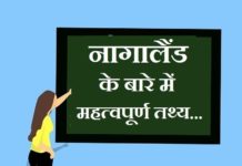 information about nagaland in hindi