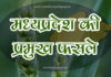 मध्यप्रदेश की प्रमुख फसले | Madhya Pradesh ki Mukhya Fasal – MP CROPS madhya-pradesh-ki-mukhya-fasal-mp-crops