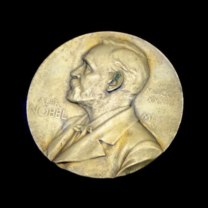 2019-nobel-prize-winner