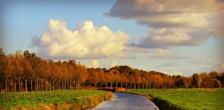 मध्य प्रदेश की प्रमुख नहरो की सूची | List of Canal in MP list-of-canal-in-mp