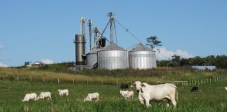 मध्य प्रदेश में कृषि उद्योग विकास निगम द्वारा स्थापित उद्योग | Industries of Agricultural Industry Development Corporation in MP agricultural-industry-in-mp