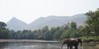 मध्यप्रदेश के अभ्यारण्य की सूची | List of sanctuaries in madhya pradesh list-of-sanctuaries-in-madhya-pradesh