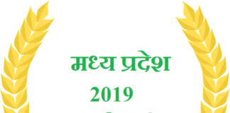 मध्य प्रदेश 2019 अवार्ड सुची | 2019 MP Award List 2019-mp-award-list
