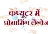 कंप्यूटर में प्रोग्रामिंग लैंग्वेज | Programming Language In Computer programming-language-in-computer