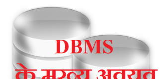 Elements of DBMS In Hindi | DBMS के मुख्य अवयव – MS Access elements of dbms in hindi