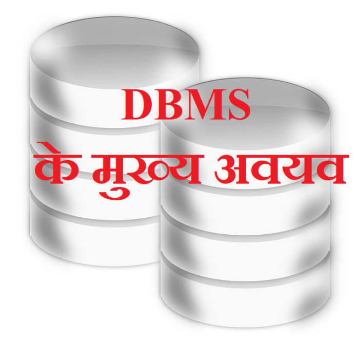 elements of dbms in hindi
