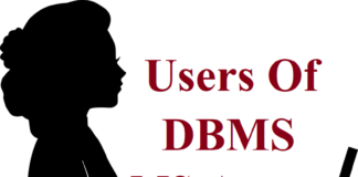 Users Of DBMS in Hindi | डीबीएमएस में यूजर – MS Access Users Of DBMS in Hindi