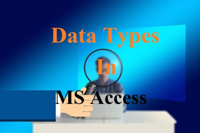 Data Type in M.S. Access in Hindi