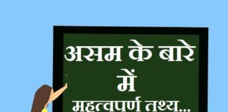 Information about Assam in Hindi | असम के बारे में जानकारी information about aasam in hindi