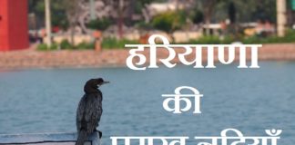 Rivers in Haryana | हरियाणा की प्रमुख नदियाँ Rivers in Haryana