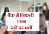 1100 Post in bank | बैंक में निकली 1100 पदों पर भर्ती ibps-po-recruitment-2020