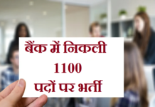 1100 Post in bank | बैंक में निकली 1100 पदों पर भर्ती ibps-po-recruitment-2020