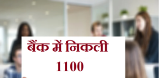 1100 Post in bank | बैंक में निकली 1100 पदों पर भर्ती ibps-po-recruitment-2020
