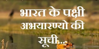 List of Bird Sanctuaries in India | भारत के पक्षी अभयारण्यो की सूची list-of-bird-sanctuaries-in-india